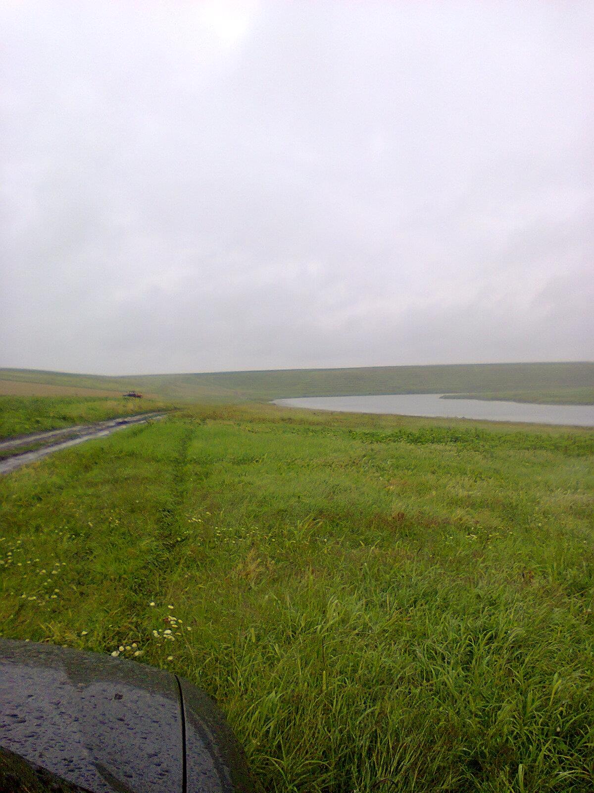 nebunie - inceput de sfarsit
